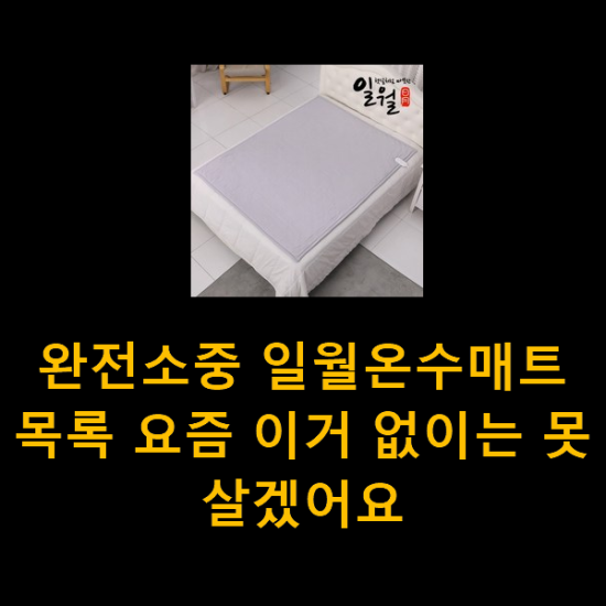 완전소중 일월온수매트 목록 요즘 이거 없이는 못살겠어요