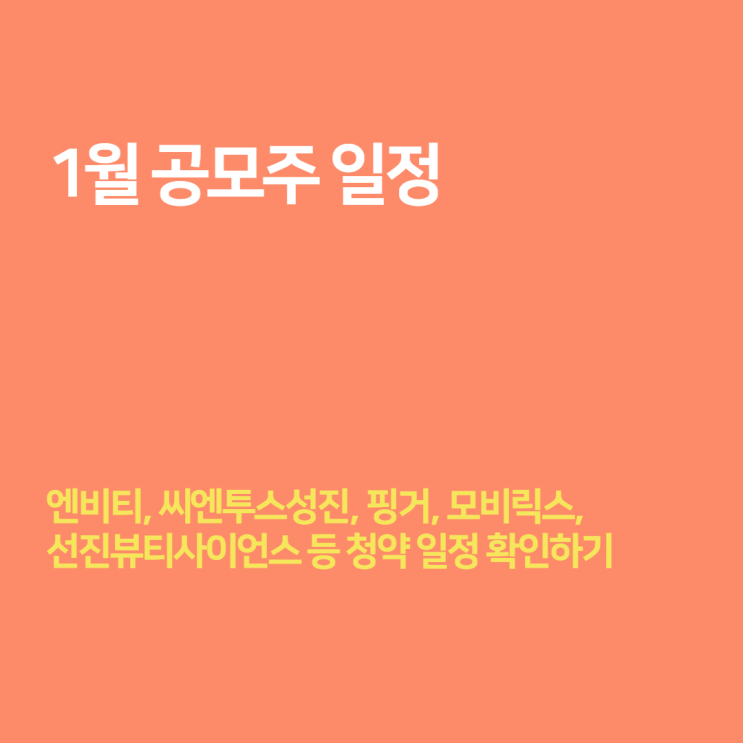  1월 공모주 일정 - 엔비티, 씨앤투스성진, 핑거 등 청약 일정 및 기업 정보 확인하기