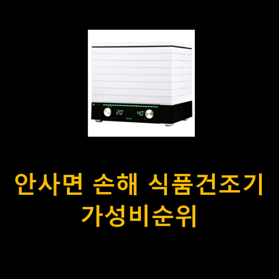 안사면 손해 식품건조기 가성비순위