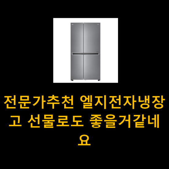 전문가추천 엘지전자냉장고 선물로도 좋을거같네요 전문가추천 엘지전자냉장고 선물로도 좋을거같네요
