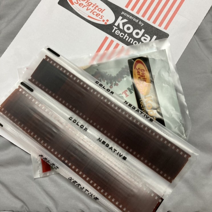 광주 일회용카메라 인화 가능한 곳 '영상칼라현상소' 필름카메라 인화 후기 광주 일회용카메라 인화 가능한 곳 '영상칼라현상소' 필름카메라 인화 후기