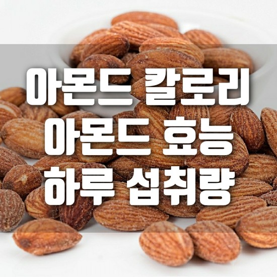  아몬드 칼로리와 효능, 하루 섭취량까지 알자!