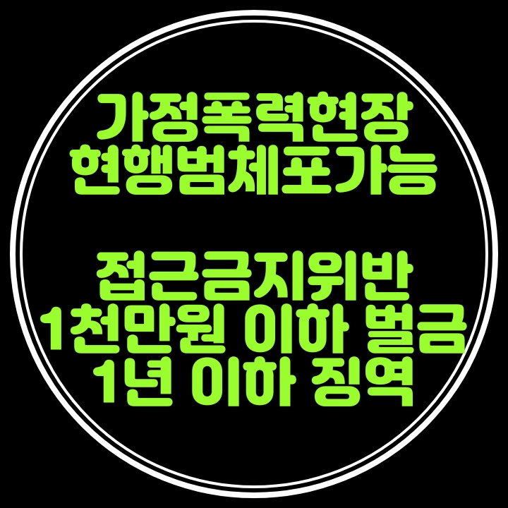  가정폭력현장 ‘형사소송법에 따른 현행범 체포’ 가능 및 접근금지등 위반시 1천만원이하 벌금등 피해자보호강화