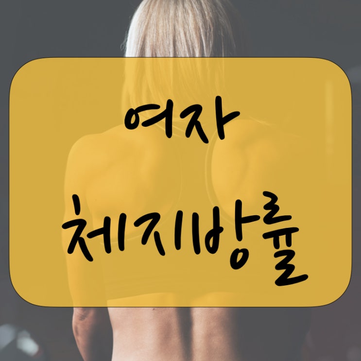  여자 체지방률 평균, 알아봅시다.