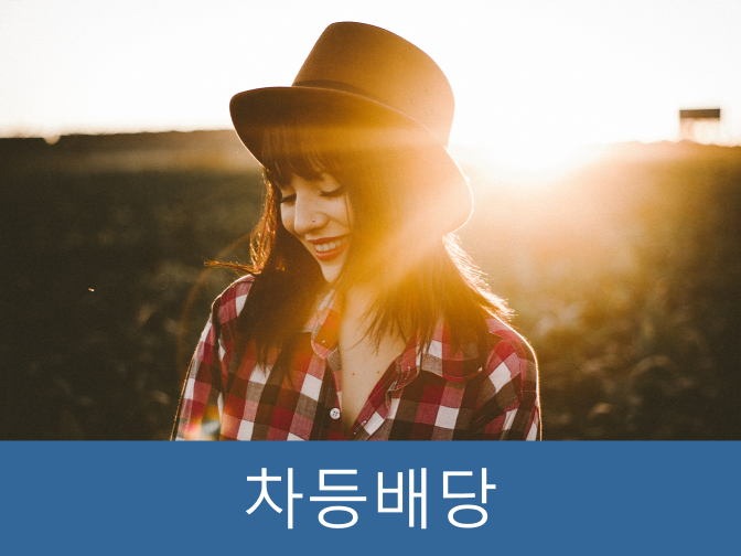  초과배당 증여이익에 대한 과세 강화