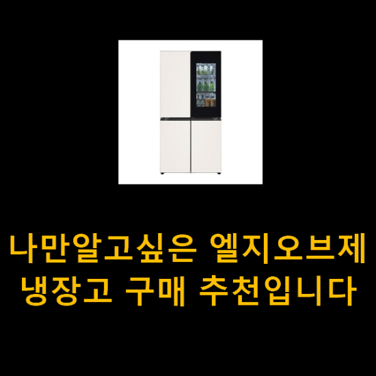 나만알고싶은 엘지오브제냉장고 구매 추천입니다 나만알고싶은 엘지오브제냉장고 구매 추천입니다