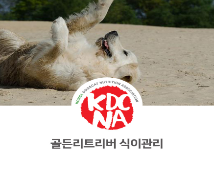  [일산/전주/익산/군산/광주/목포 펫푸드 자격증] 나의반려 펫영양사가 알려주는 골든리트리버 식이관리_709