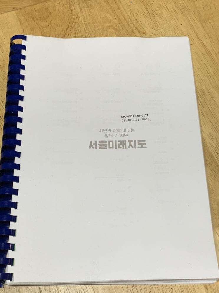  서울 미래지도