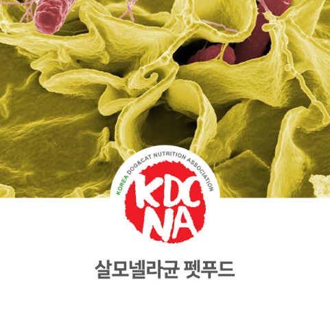  [군산/천안/대전/익산/남원 펫푸드 자격증] 반려동물 사료 간식 살모넬라균_710