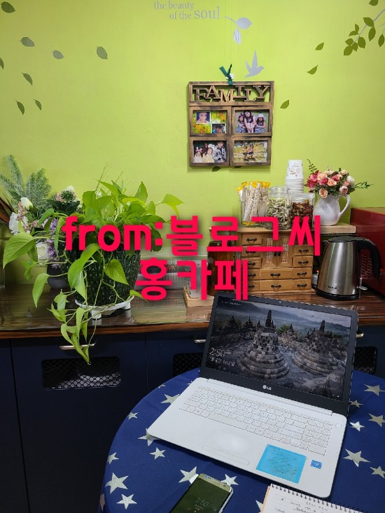 과일차 추천 런던 프룻&허브 과일차 [ 홈카페 ]