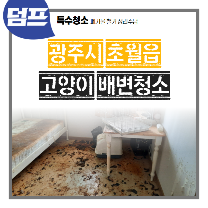  [후기] 경기도 광주시 초월읍, 고양이 배설물 청소를 하고 왔어요