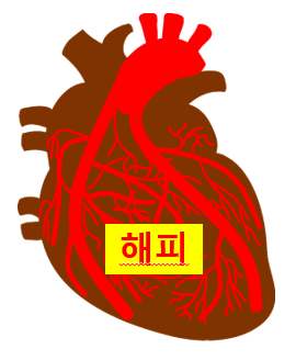  그대 심장에 ‘기피(忌避), 회피(回避), 도피(逃避)’가 아닌 ‘해피(Happy)’가 흐르게 하라