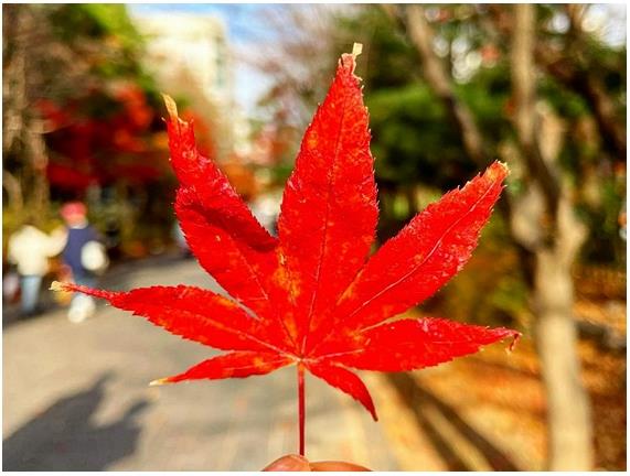  할인행사면 국산차도 해당될까요
