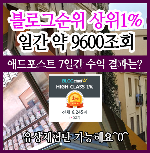  블로그순위 상위1% 애드포스트 수익 X 일평균 9000 조회수 실험 (ft. 유상체험단 할수있어요)