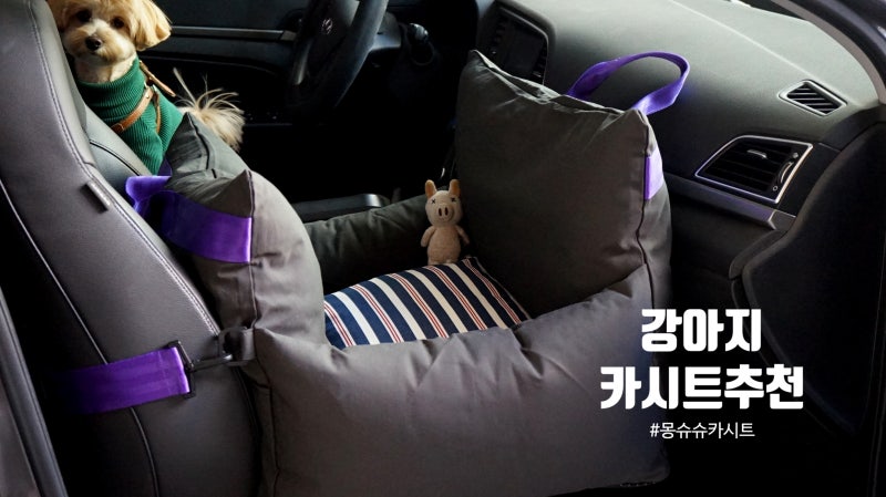 강아지 카시트 몽슈슈 카시트 세일할 때 득템했어요!