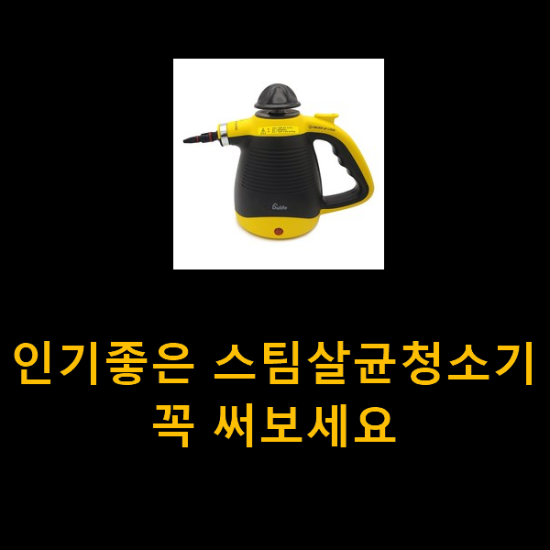 인기좋은 스팀살균청소기 꼭 써보세요 인기좋은 스팀살균청소기 꼭 써보세요