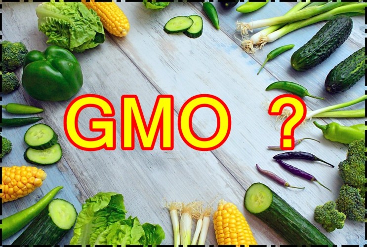 유전자 변형 생물(GMO)의 탄생과 대하는 우리의 자세