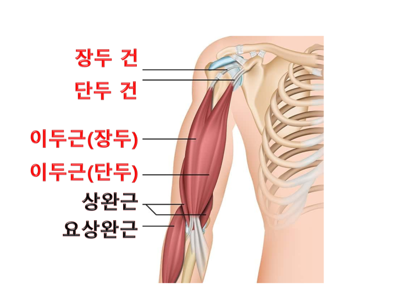 턴핏 이미지