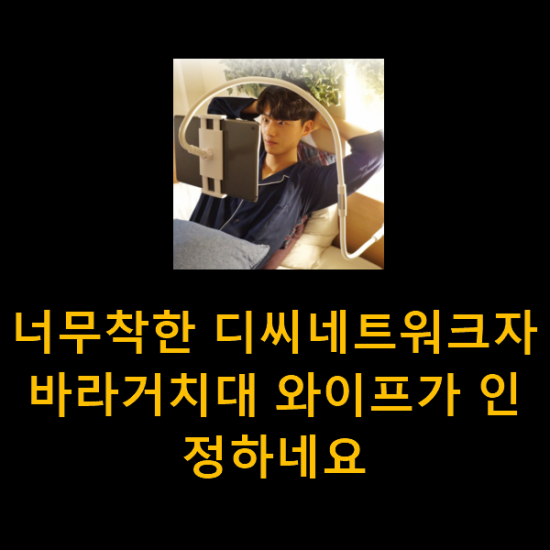 너무착한 디씨네트워크자바라거치대 와이프가 인정하네요 너무착한 디씨네트워크자바라거치대 와이프가 인정하네요