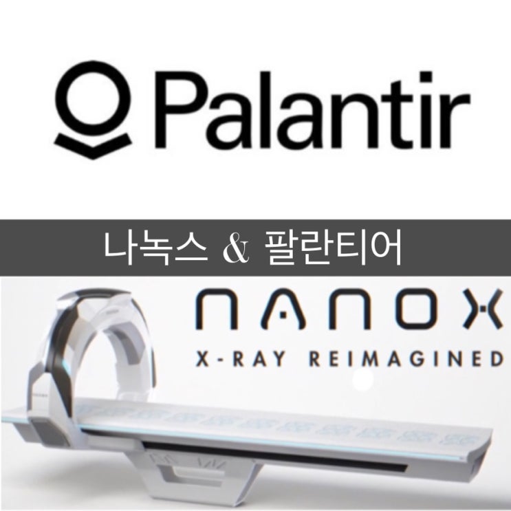 [분석글] 관심주(팔란티어 PLTR, 나녹스 NNOX) 주가&주식