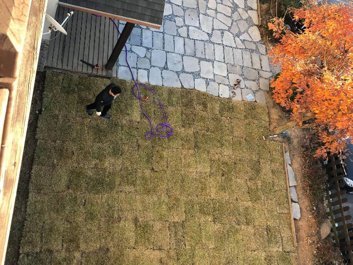  잔디 심기 어렵지 않아요