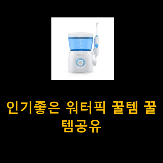 인기좋은 워터픽 꿀템 꿀템공유 인기좋은 워터픽 꿀템 꿀템공유