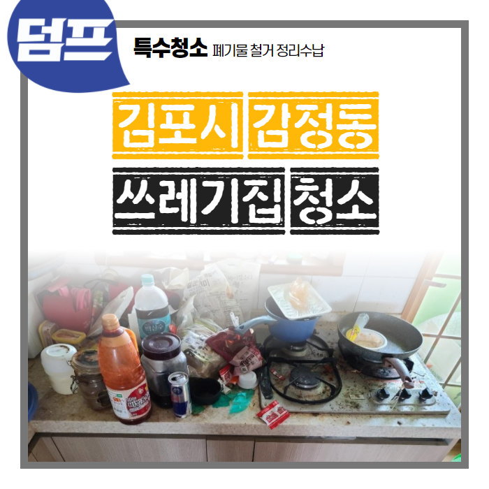 [후기] 경기도 김포시 감정동, 아파트 쓰레기집청소 - 박스가 어마어마