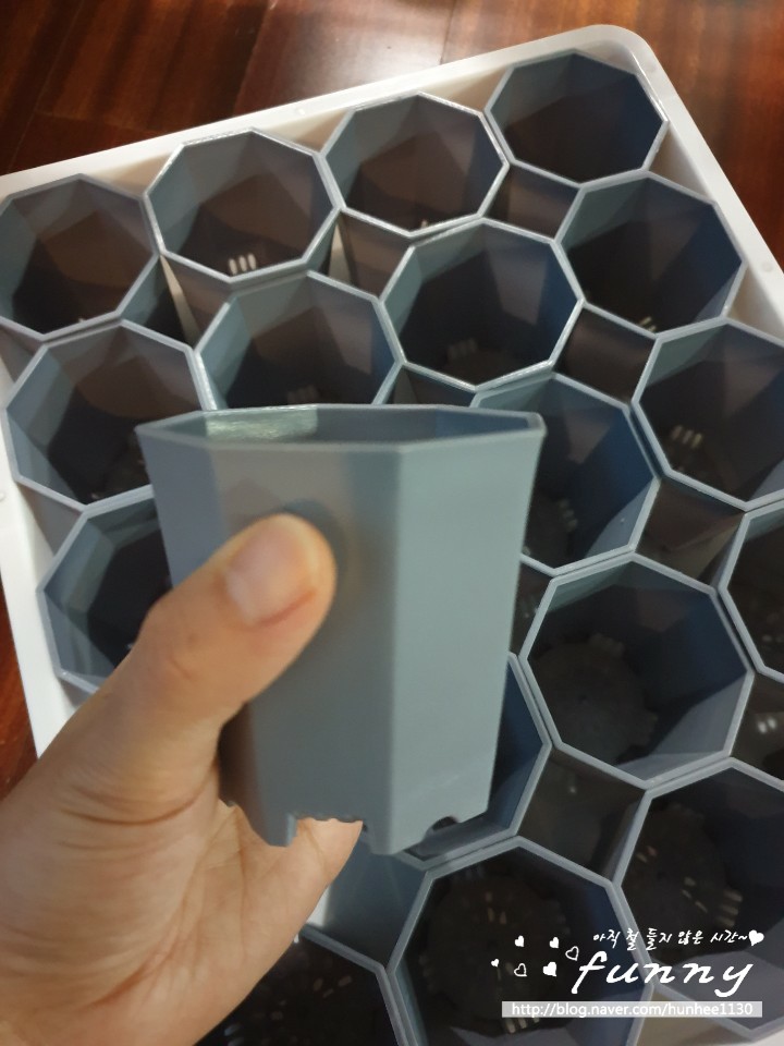 신상구입기