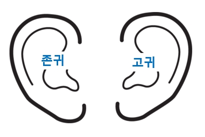  그대 귀가 ‘콧방귀나 팔랑귀’가 아닌 ‘존귀와 고귀’가 되게 하라