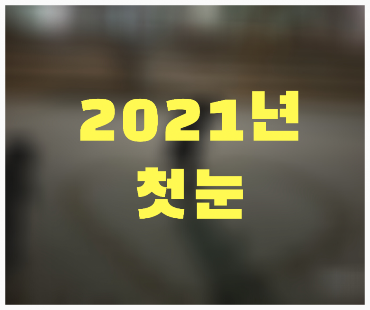  2021년 첫눈을 맞다~!!
