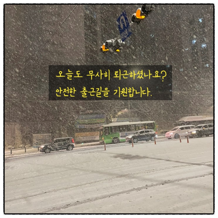  내일 출근 막막 인생 최대의 폭설