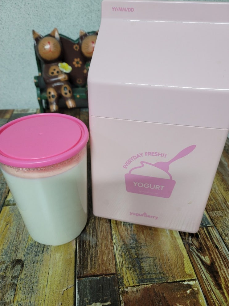 요거베리 요거트 메이커(전기 필요없이 만들기)