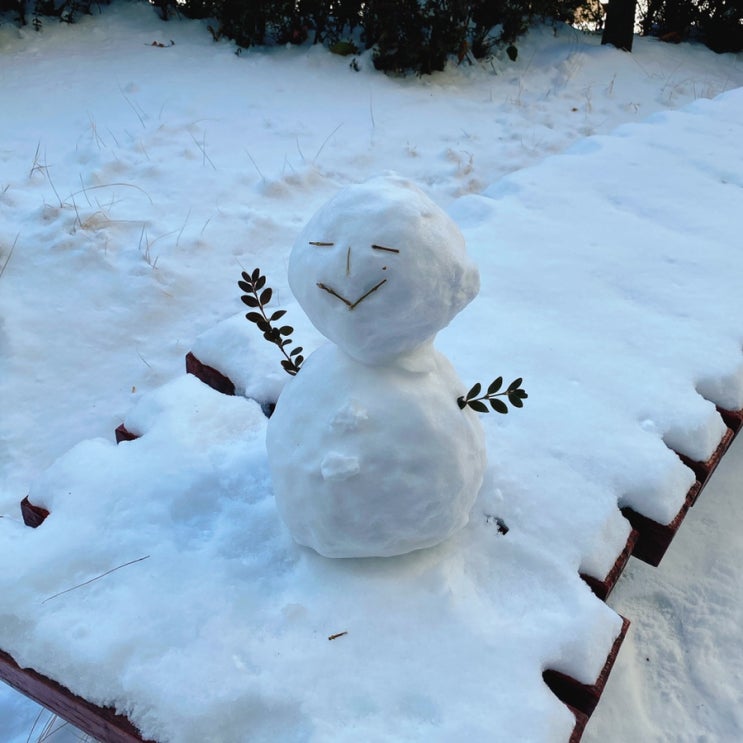  눈이왔어요_우리아기 첫눈경험 무서워요