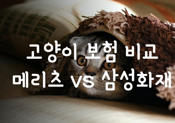 반려묘 고양이 펫보험 가입 어디가 좋을까? (메리츠화재 펫퍼민트 vs 삼성화재 애니펫 비교 및 추천) 반려묘 고양이 펫보험 가입 어디가 좋을까? (메리츠화재 펫퍼민트 vs 삼성화재 애니펫 비교 및 추천)