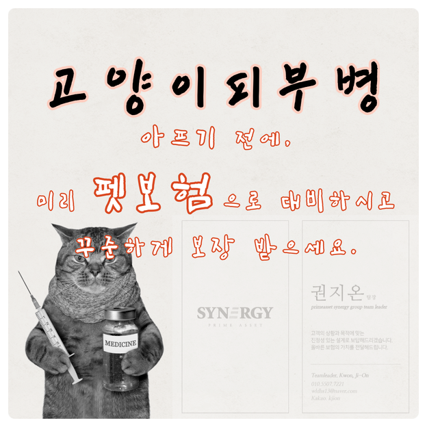  고양이 피부병, 아프기 전에 미리 대비하시고 펫보험으로 든든하게 보장 받으세요