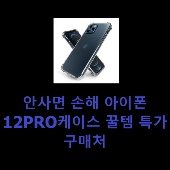 안사면 손해 아이폰12PRO케이스 꿀템 특가 구매처