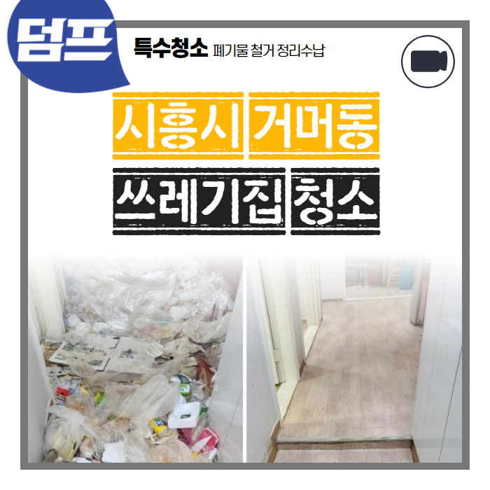  시흥시 거머동의 쓰레기집, 양이 꽤 많습니다
