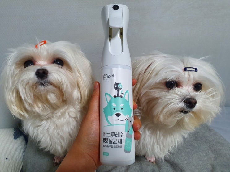  [정보공유] 에코펫 펫살균제, 필수 애견용품, 세균소독, 에코후레쉬 펫 멍냥 스프레이, 뿌리기만 해도 99.9% 살균효과 있는 강아지용품