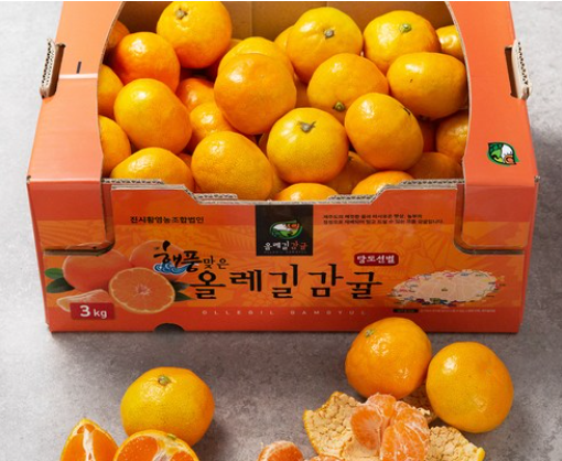  [쿠팡 로켓 프레시] GAP 인증 해풍 맞은 올레길 당도선별 감귤