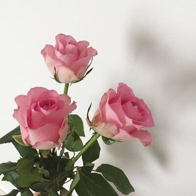  [사진 #172] 아이폰 텀블러 배경화면 인스타 감성사진 핑크이미지 모음