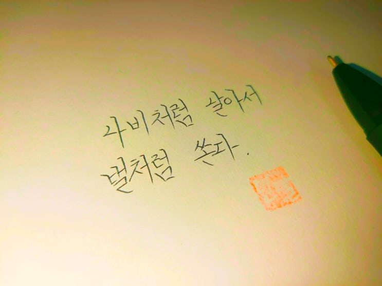  무하마드 알리 명언 손글씨 모음