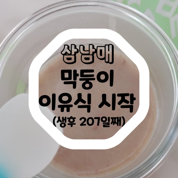  막둥이 이유식 시작 (생후 206일째, 6개월 아가)