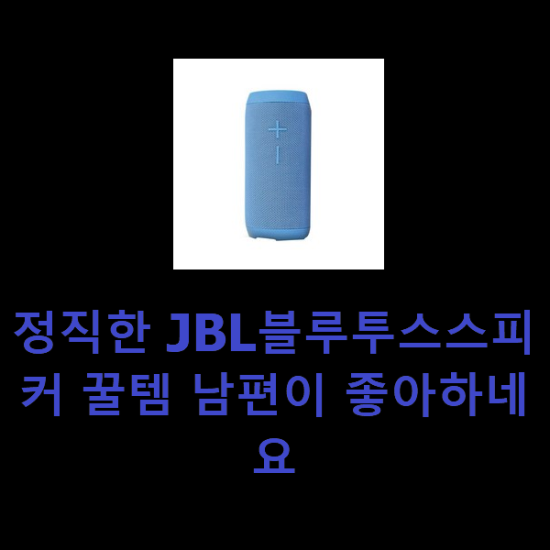 정직한 JBL블루투스스피커 꿀템 남편이 좋아하네요