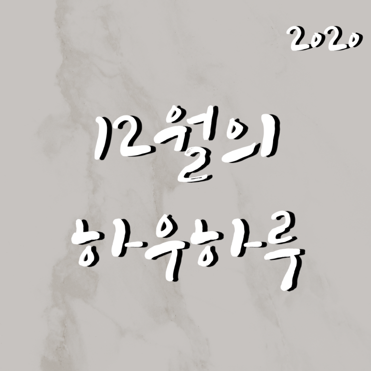  12월의 하우하루_조용했던 연말, 마지막 28살 안뇽