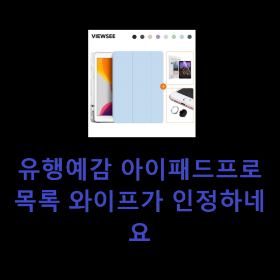 유행예감 아이패드프로 목록 와이프가 인정하네요