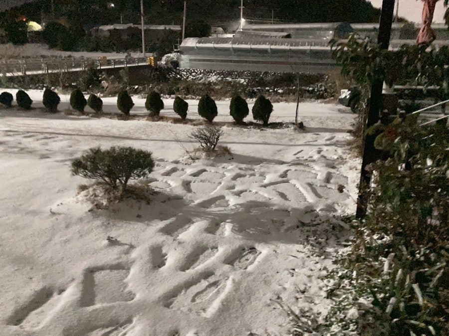 물메소랑 사진 2