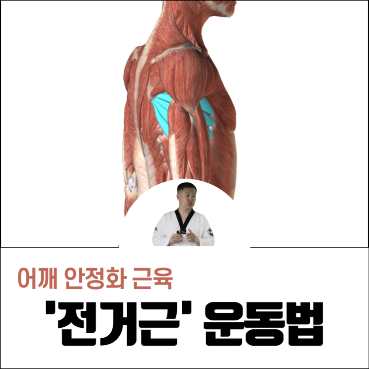  전거근 운동법과 통증, 어깨 안정화에 매우 중요