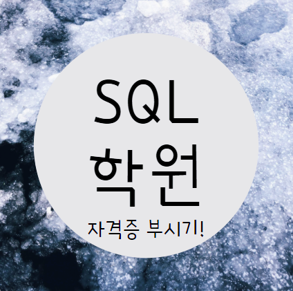 SQL학원 목적별 맞춤 교육가능해서 좋아요!