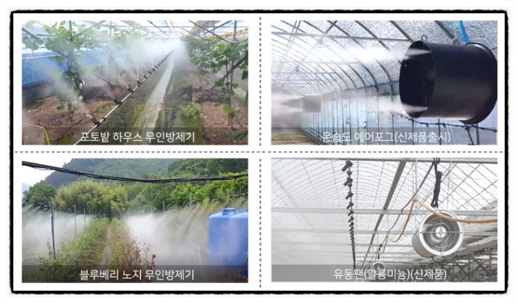  선인장 관리법 재배 계절별 비닐하우스환풍기