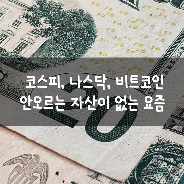  코스피, 나스닥, 비트코인 안오르는 자산이 없는 요즘